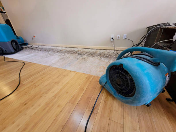 Professional Water Damage Repair technician working in Ashwood, OR